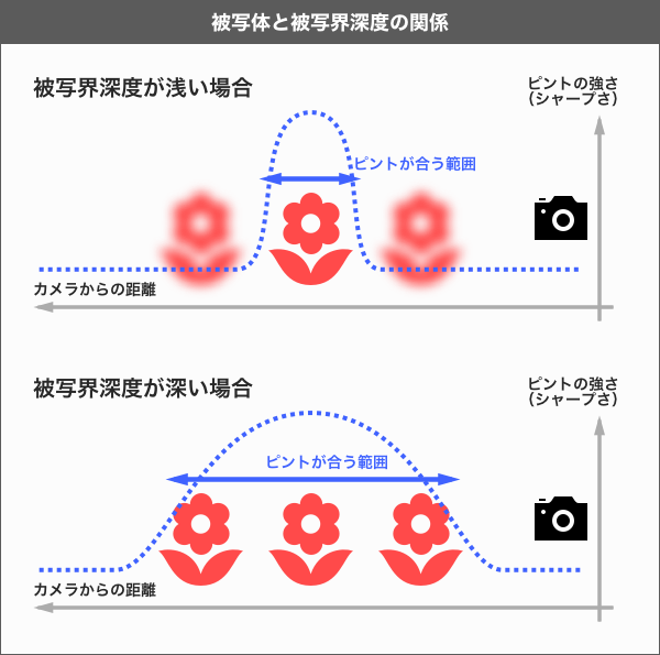 レンズで変わる画角とピントを決めるボケ範囲の被写界深度 大阪市天王寺区ホームページ制作 合同会社デザインサプライ Designsupply Llc