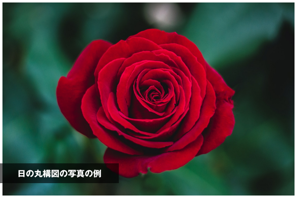 構図とアングルで決める写真のテーマ(構図編)