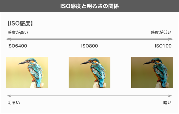 【一眼レフカメラの基本設定】ISO感度について
