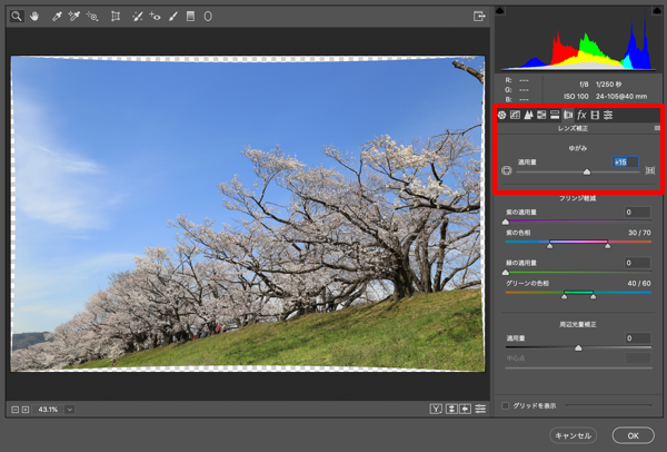 Photoshopでもっと綺麗な桜の写真を目指すレタッチ(広角・ワイド編)